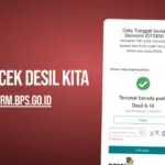 Cek desil kita 2026 di dtsen-form.bps.go.id